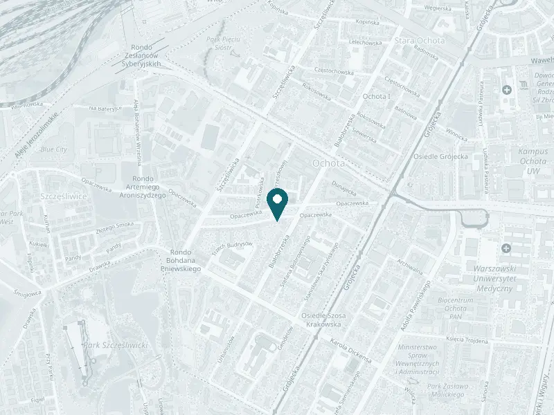 Mapa: NĀZ Institute, ul. Opaczewska 19, Ochota